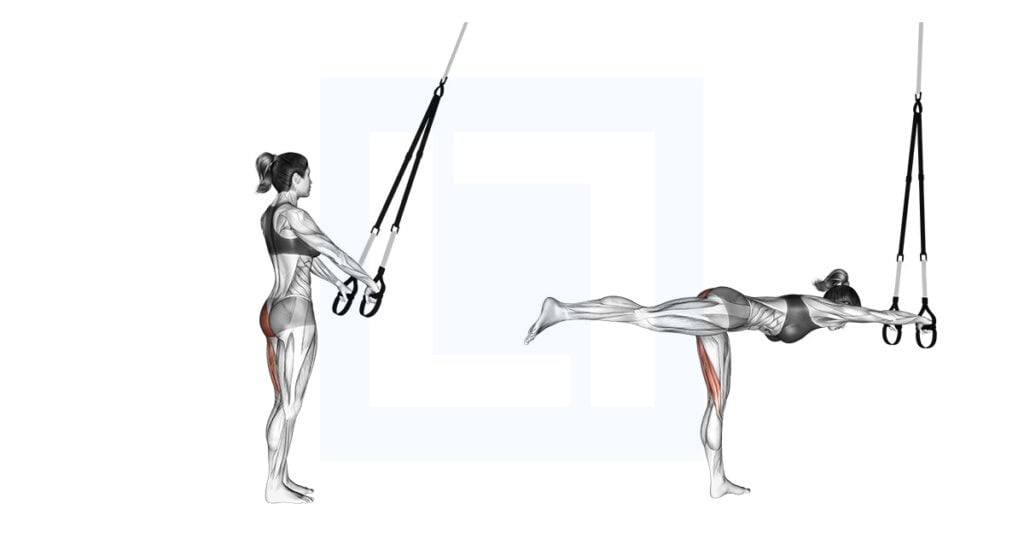 Suspender Single Leg Deadlift: TRX SLDL