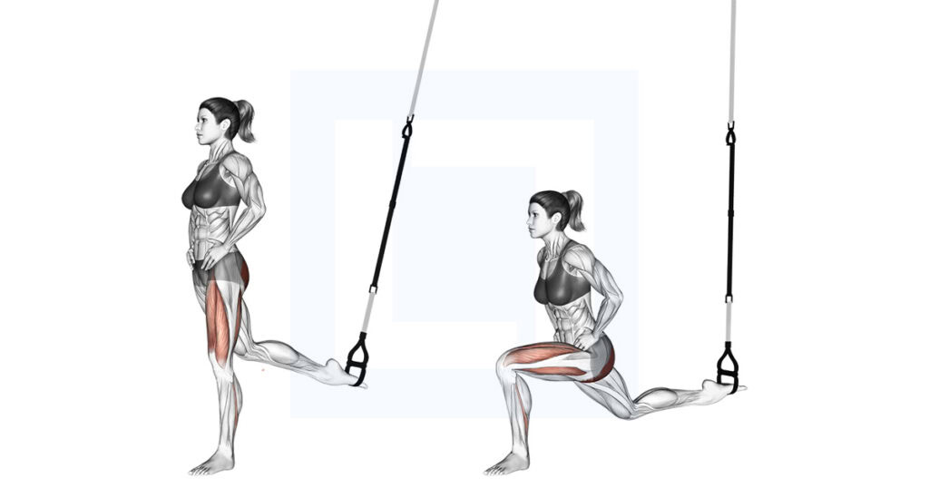 TRX Single Leg Split Squat
