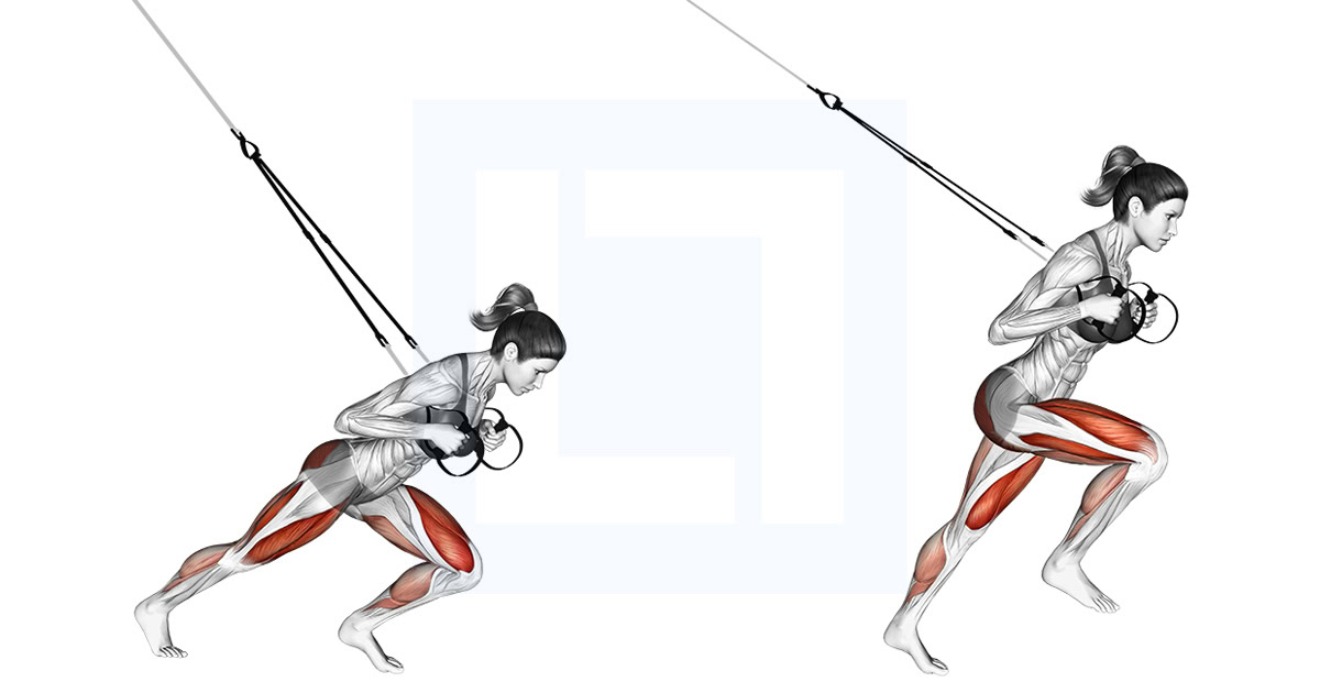 Suspender Sprinter