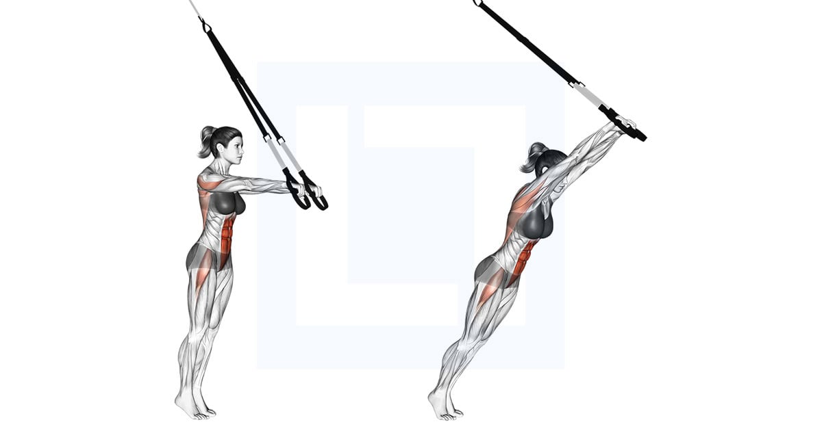 Suspender Standing Ab Rollout
