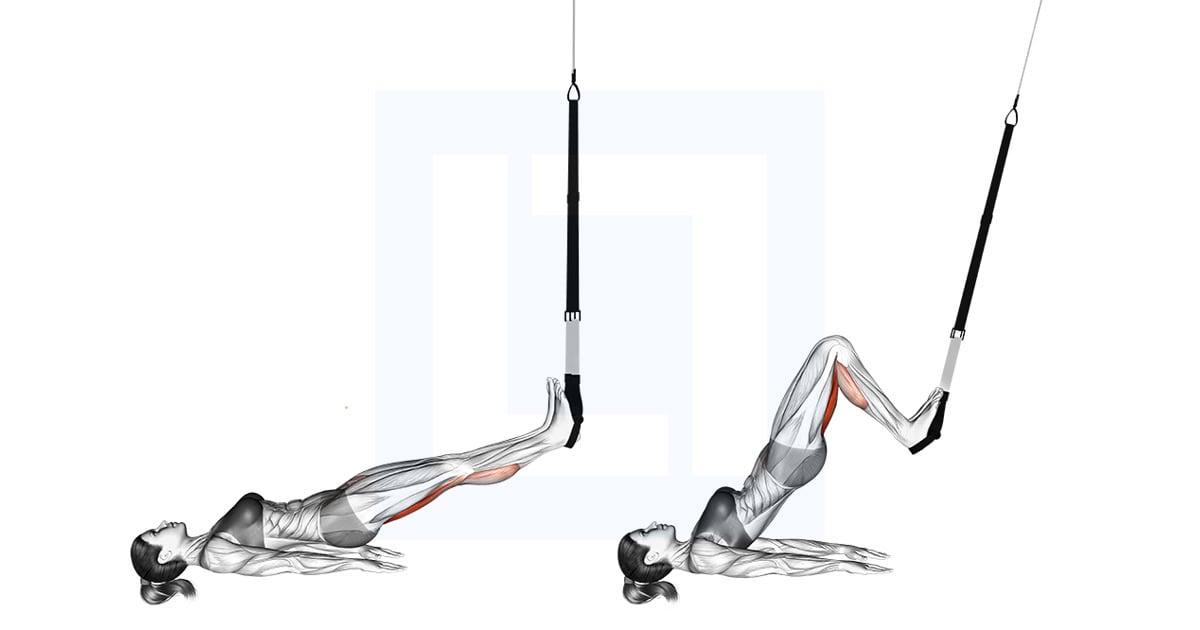 Suspender Straight Hip Leg Curl