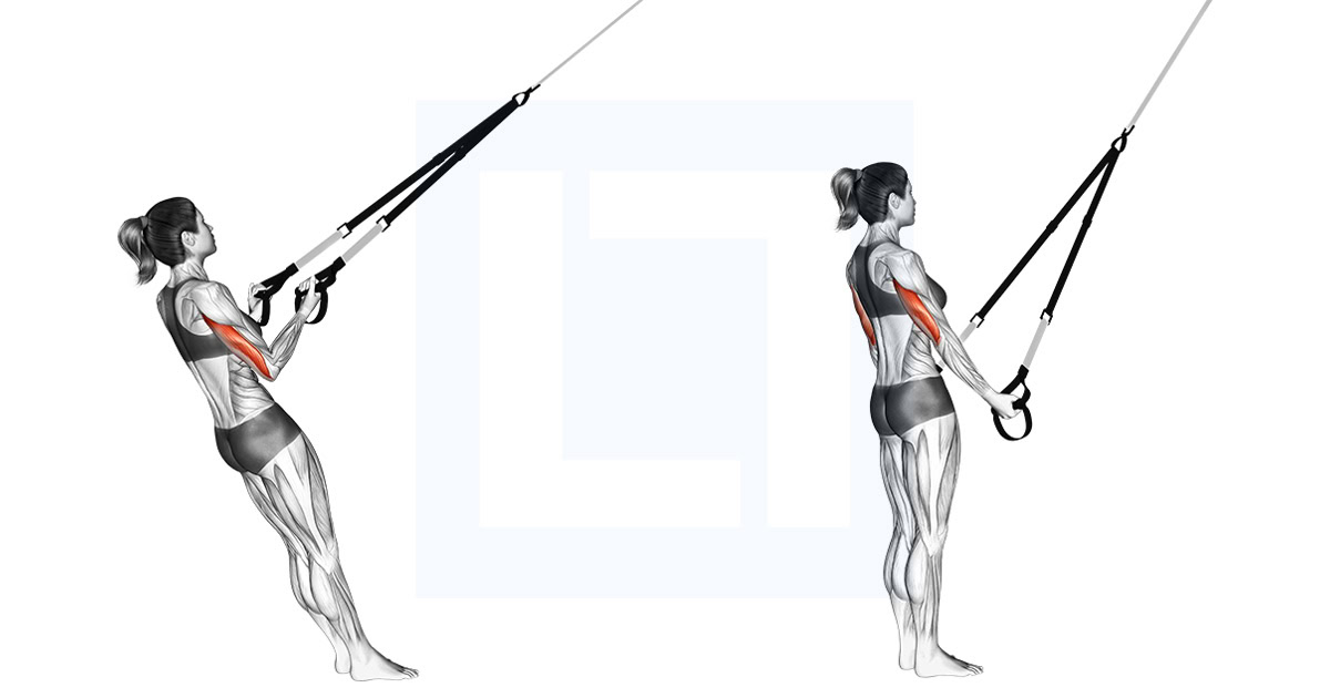 Suspension Trainer Triceps Kickback