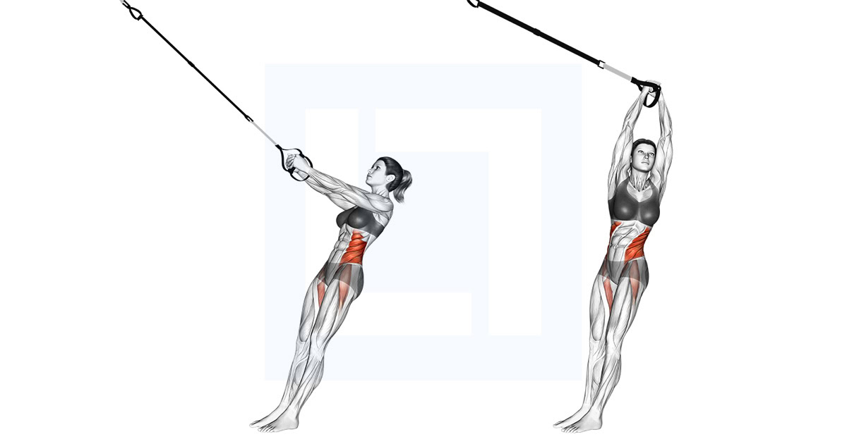 Suspension Trainer Twist Up