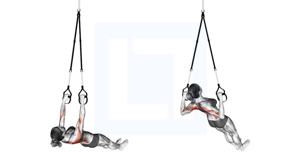Wide Inverted Rows Suspender Wide Grip Inverted Row Guide