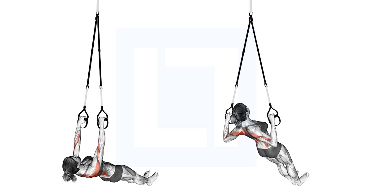 Suspender Wide Grip Inverted Row on Floor