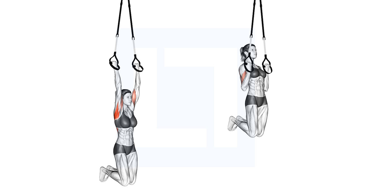Suspension Chin Up
