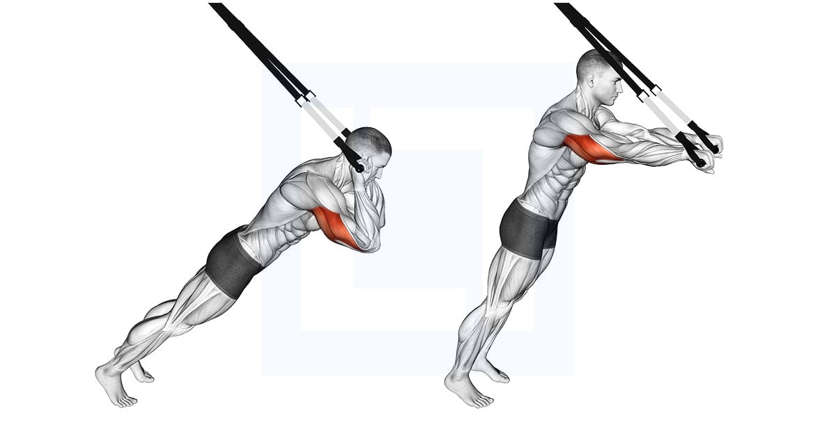 Suspension Triceps Extension
