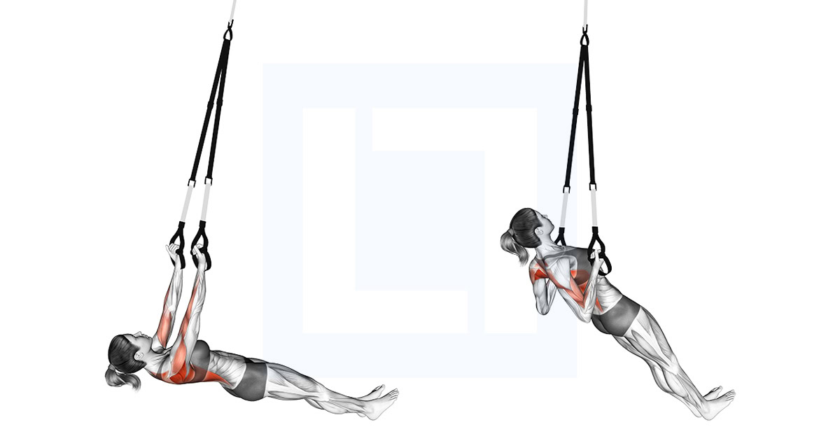 Suspension Underhand Grip Inverted Row