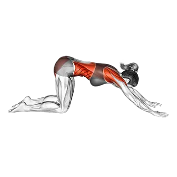 How To Improve Shoulder Mobility Thread The Needle Pose