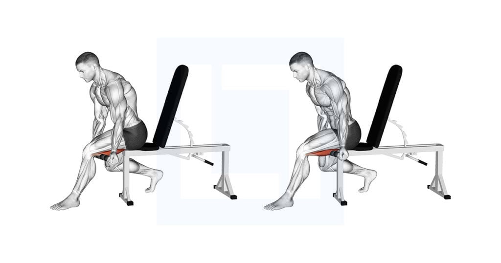 Tiger Tail Hamstring