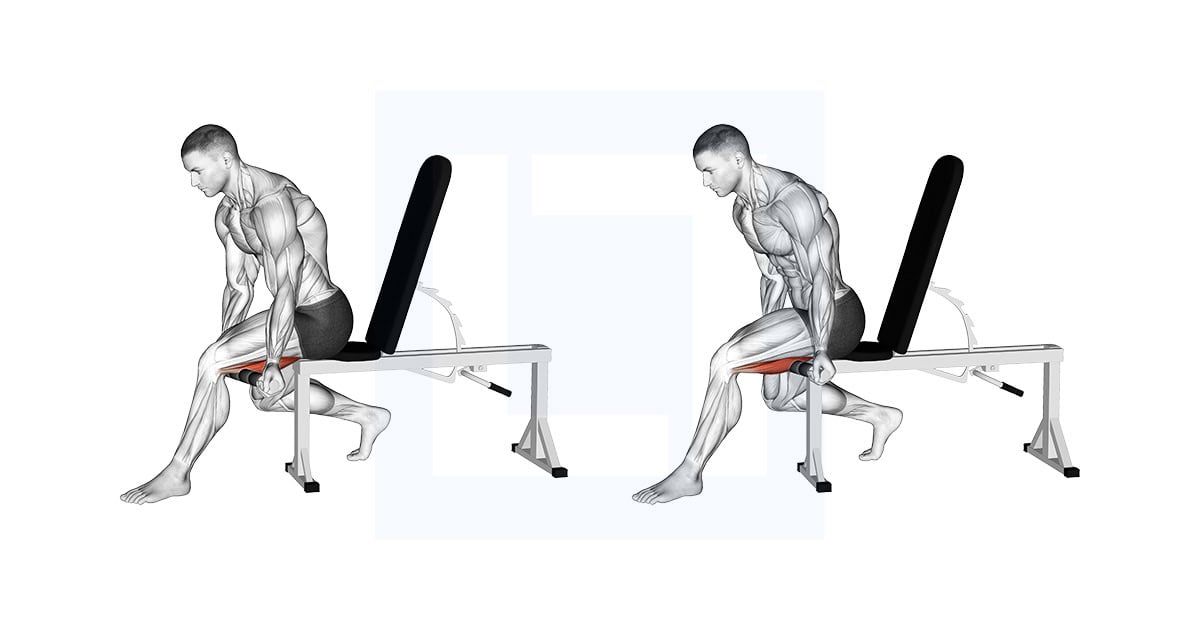 Tiger Tail Hamstring