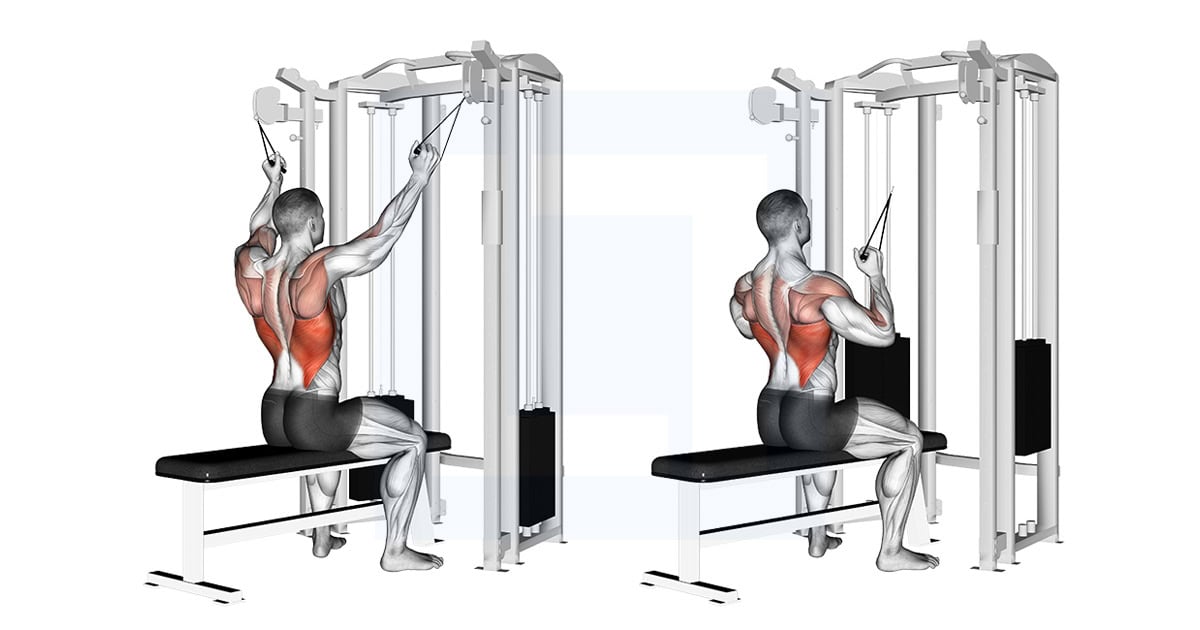 Twin Handle Parallel Grip Lat Pulldown