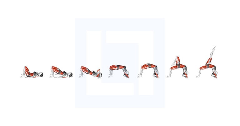 Inverted Staff Pose Yoga Backbend