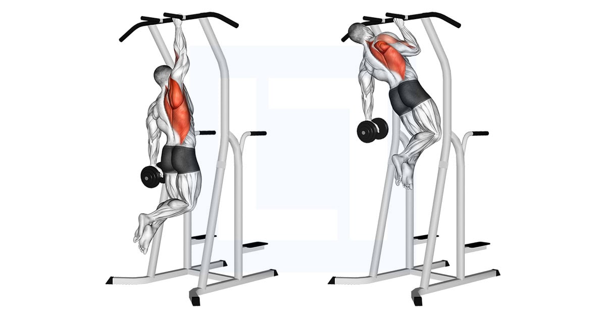 Weighted One Hand Pull Up