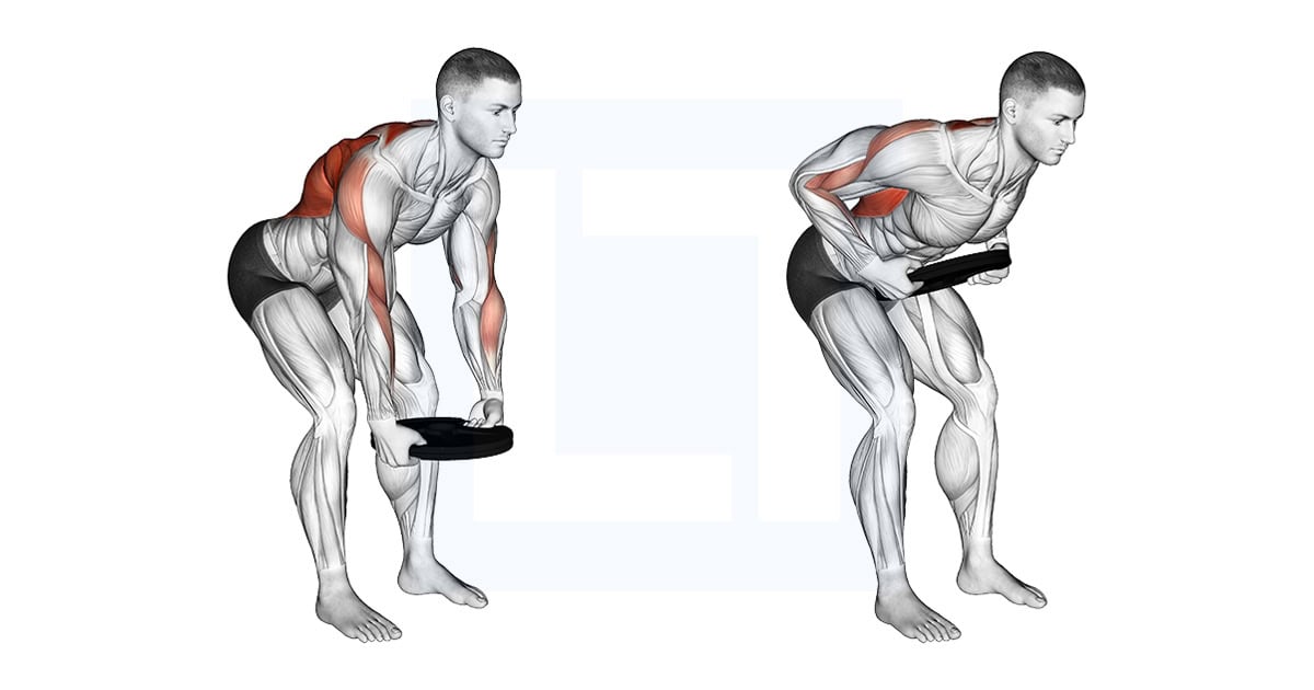 Weighted Plate Bent Over Row
