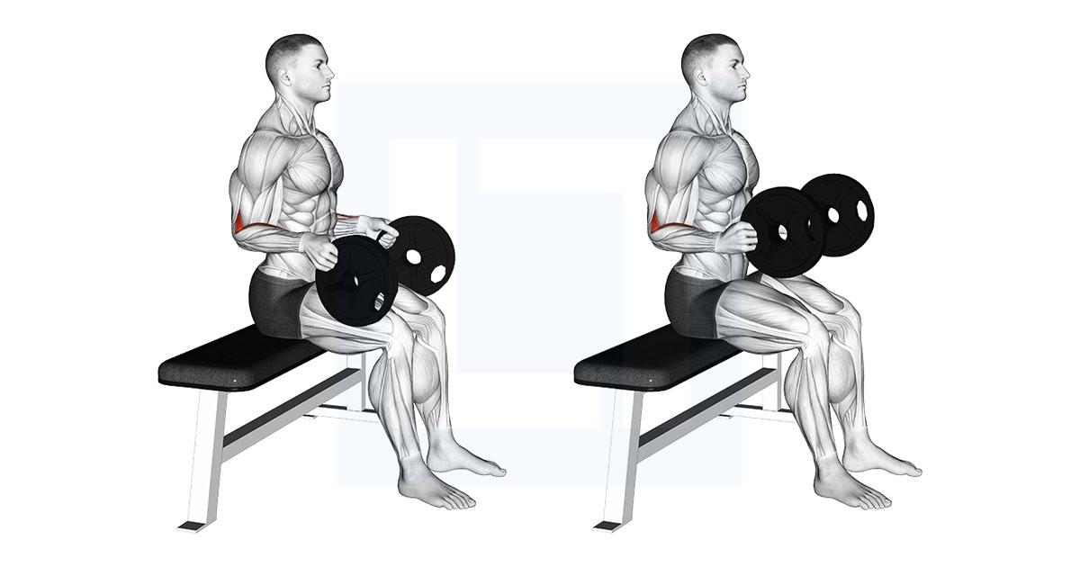 Weighted Seated Neutral Wrist Curl