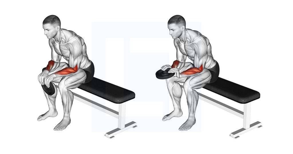 Weighted Seated Reverse Wrist Curl