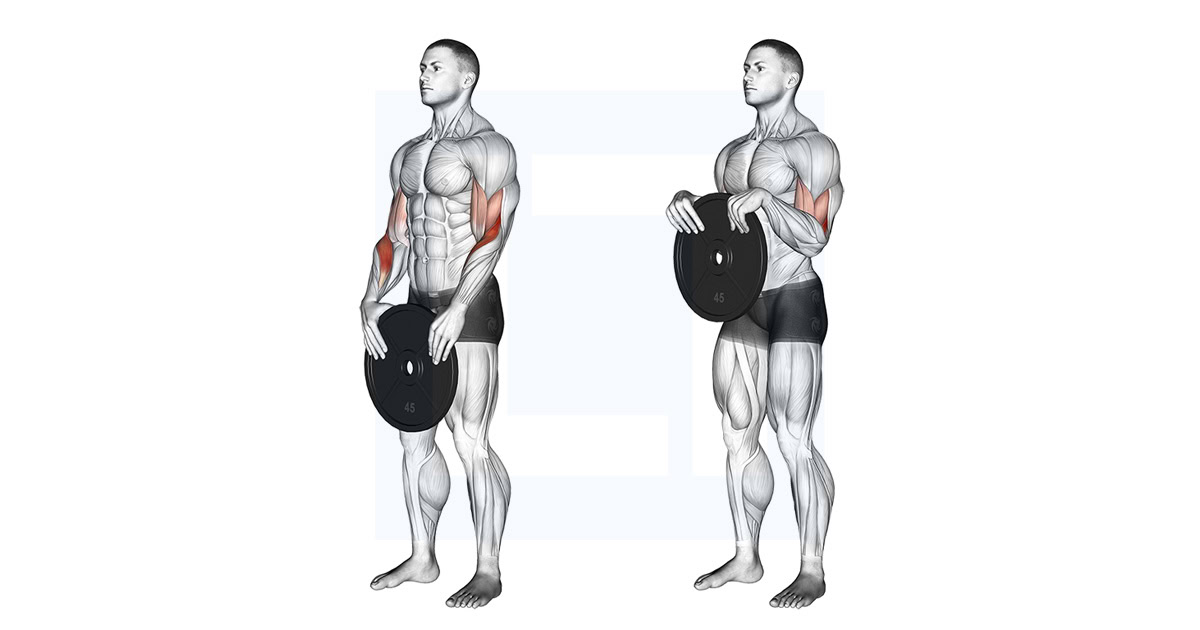Weighted Standing Curl