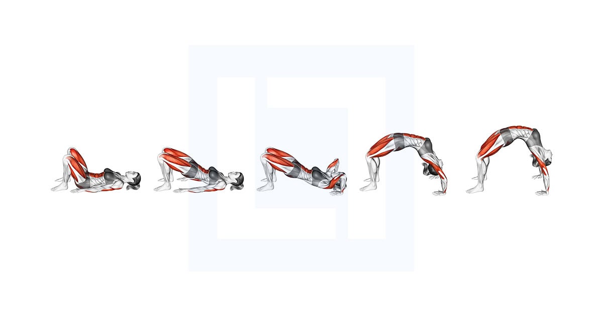 Wheel Pose Urdhva Dhanurasana